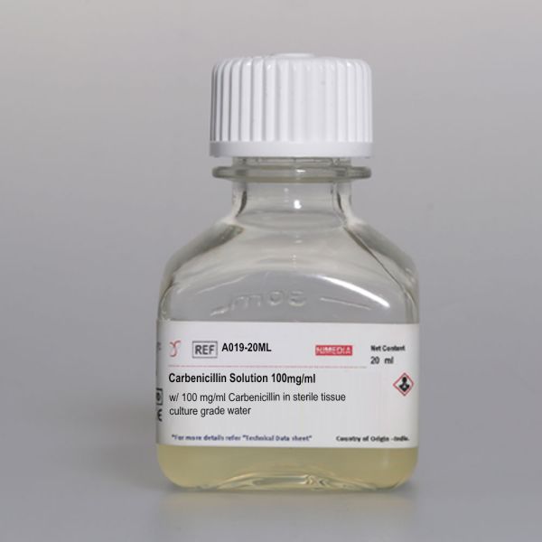 Раствор Карбенициллина в стерильной воде (100 мг/мл карбенициллина)