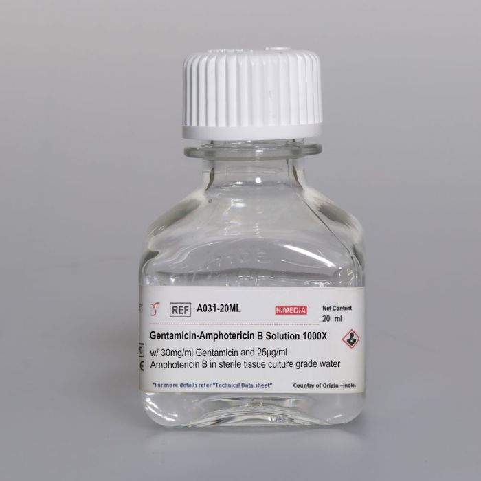 Раствор Гентамицин-амфотерицина B 1000x в стерильной воде (30 мг/мл гентамицина, 25 мкг/мл амфотерицина B)